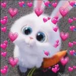Te amo