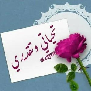 UbMBof