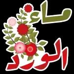 نسانهاییصباح الخ