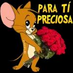 paquete 