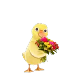 Glitzer