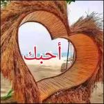 amin أموت فيك