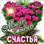 новый год