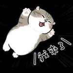 愛撒嬌的奶油小生 (虎斑貓)