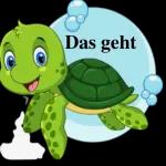 Süße kleine Schildkröte