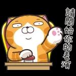 白爛貓11☆超級萌☆