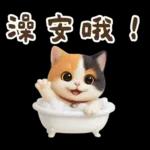 花貓超可愛諧音梗