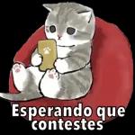 No decir Buenos días