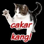 Forwarded
Oo ye ke
10:50 PM ✓