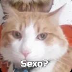 Sexo?