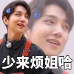 seventeen表情管理2 :: @fStikBot