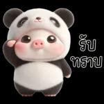 หมูแพนด้าน่ารักจังเลย