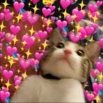 Te hice unsyeter conmis lagrimas