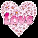 love you❤️❤️