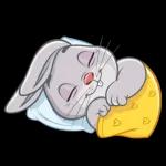 Gute Nacht 🌹