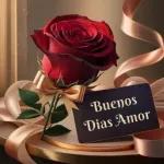 Buenos Dias Amor
