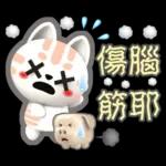 肉圓咪-好用生活貼