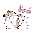 หนูแฮมสเตอร์ตัวน้อย