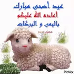 ملصقات متحركة