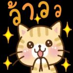 ปลาร
ด้วย