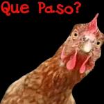 Que Paso?