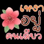 คำฮิต ภาษาดอกไม้ คนเหงา
