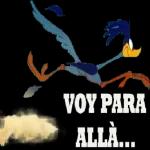 Toma, busca que Hacer