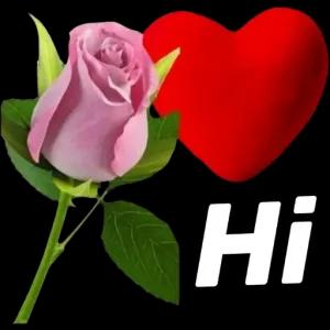 Hi - getsticker.com