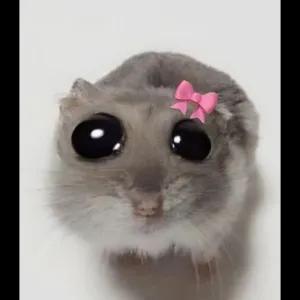 atBezq