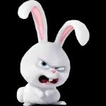 bunny rabbit