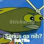 meme