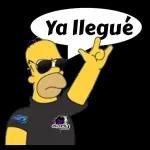 VAMOS cerrando el ortito