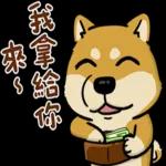 豆卡頻道-茶寶丸萌犬篇