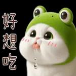 青蛙喵喵♡實用日常