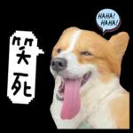 笑死