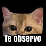 Qué onda