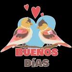 buenos dias