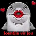 goeie more