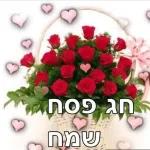 חג פסח שמח 🩷