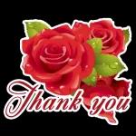 jou Voet Spore In My Lewe