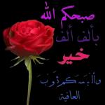 متاز بارك الله فيك ئے