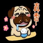 [豆卡频道-声动贴10(茶宝丸日常篇)