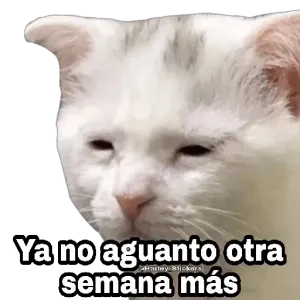 aq53apm