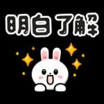 咖B和兔兔 ♡ 可愛實用日常