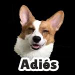 Que tengas un buen mediodía.