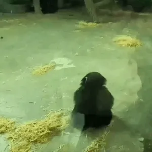 6hPWaH