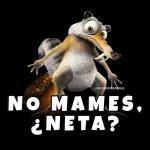 MI PAQUETE 51