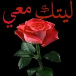 سبحان الله