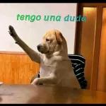 PARA LILITA