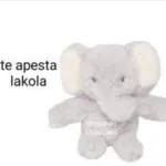 monos lokos